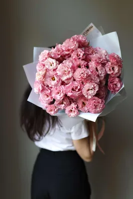 Eustoma russellianum flowers blooming at spring time in Saigon, southern  Vietnam Stock Photo - Alamy