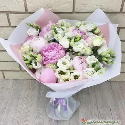 Eustoma - Wonderland Botanicals