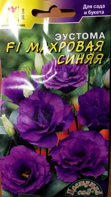 Купить Эустома белая махровая (Украина) 70см оптом | Paeonia