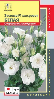 Эустома букет купить | Доставка цветов Москва | Интернет магазин  dakotaflora.com
