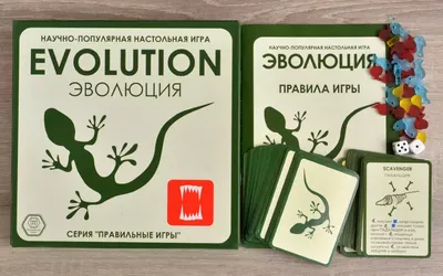 Эволюция — стоковая векторная графика и другие изображения на тему Эволюция  - Эволюция, Развитие, Прогресс - iStock