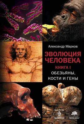 Эволюция подарочная | Купить настольную игру в магазинах Мосигра