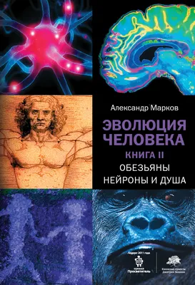 Эволюция графических стилей. От викторианцев до хипстеров. 2-е изд | Хеллер  Стивен - купить с доставкой по выгодным ценам в интернет-магазине OZON  (294824172)