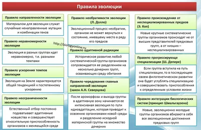 Эволюция Человека — стоковая векторная графика и другие изображения на тему  Эволюция - Эволюция, Развитие, Прогресс - iStock