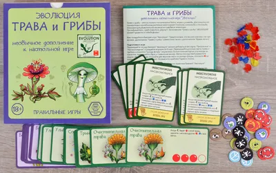 эволюция современного человека Иллюстрация вектора - иллюстрации  насчитывающей развитие, шарж: 237248257