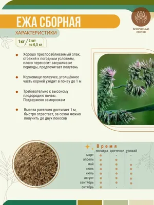 Газонные травы травосмеси семена, цена в Екатеринбурге от компании Интер  Строй Групп