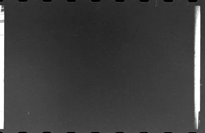 Файюс: насладитесь качественными фотографиями природы