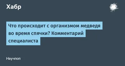 Фекалии медведя: картины природы в каждом изображении