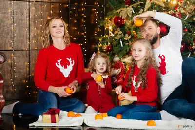 Новогодние свитшоты с оленями фэмили лук (family look) для всей семьи в  аренду в Москве — Прокат по цене от 571 руб/день (лот #34828)