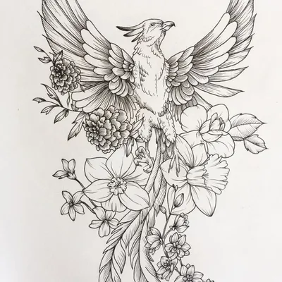 Картинки Птица феникс (39 шт.) - #8000