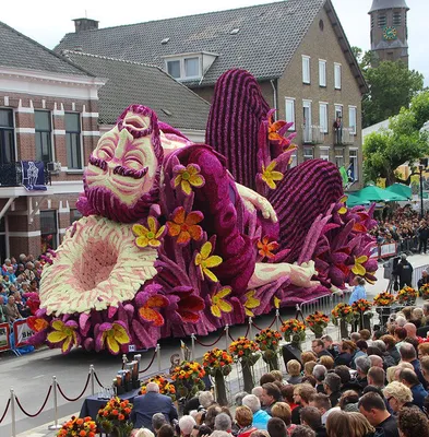 Парад цветов в Голландии