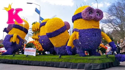 ЭКСКЛЮЗИВ! Фестиваль цветов в Голландии - Саасенхайм! Парад цветов  Bloemencorso van da Bollenstreek🌺 - YouTube