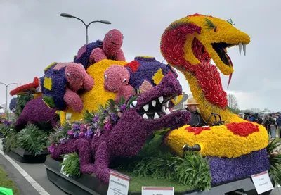 Парад цветов Bloemencorso Bollenstreek (Нидерланды) в 2019 году - Ежегодный  Парад Цветов в Голландии - Событие года - «Блог Флориум.юа» 2019