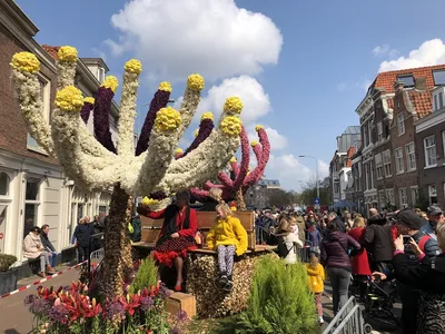 Парад цветов Bloemencorso Bollenstreek в 2024 году | Amsterdam on Air