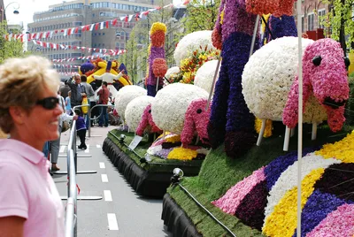 Фестиваль цветов 2024 — фото, отзывы и рассказ о событии Фестиваль цветов