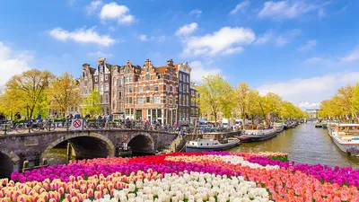 Неизведанные Нидерланды + парад цветов Блюменкорсо