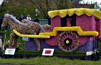 Цветочный фестиваль Bloemencorso 2015 Зеленая Сфера