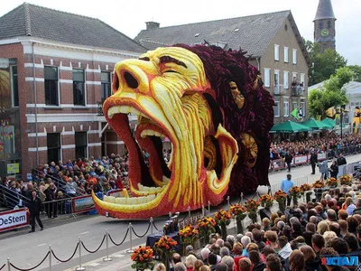 Фестиваль цветов в Нидерландах. / Голландия :: World In Photo :: цветы ::  парад :: фестиваль :: фэндомы / картинки, гифки, прикольные комиксы,  интересные статьи по теме.