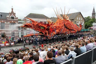 Парк Кёкенхоф в Голландии – парад цветов 2024: фото, билеты