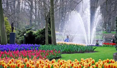 22 марта открывается парк цветов Кюкенхоф: как лучше посетить? - все о  туризме и отдыхе в Беларуси