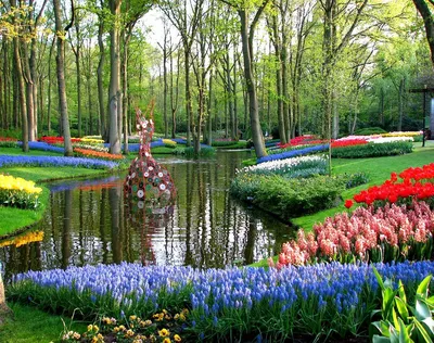 Самый крупный в мире парад цветов в Голландии посвятили Ван Гогу » ЯУстал -  Источник Хорошего Настроения