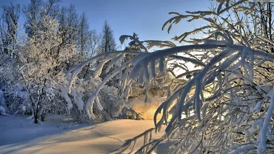 Февраль в Вологде будет близок к средним температурным показателям »  СеверИнфо