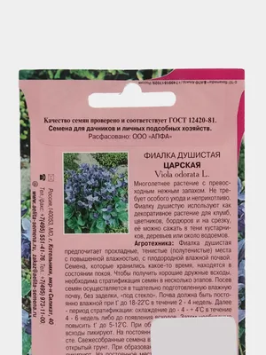 Фиалки Агрофирма Аэлита semn-477526 - купить по выгодным ценам в  интернет-магазине OZON (892083739)