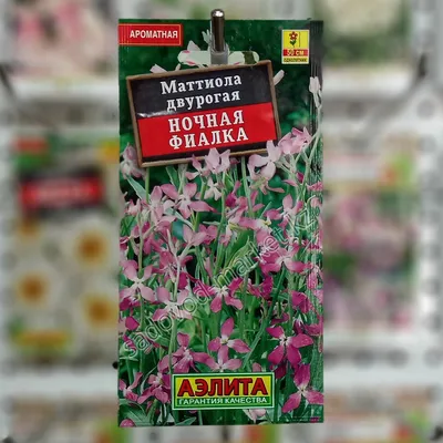 Семена набор львиный зев Аэлита Крупноцветковый смесь сортов 93850 3 уп. -  купить в Москве, цены на Мегамаркет