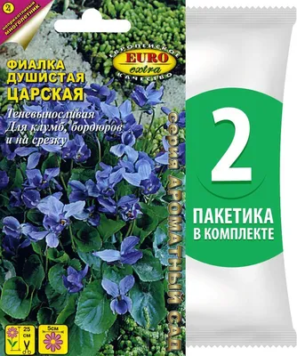 А Вы знали, что фиалка не только красивая, но и полезная? | Агрофирма Аэлита  | Дзен