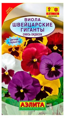 Отзыв о Семена Аэлита \"Фиалка крупноцветковая\" смесь окрасок | Моя  прошлогодняя радость