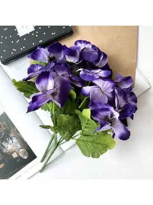Виолы, анютины глазки Дом семян 46-VIOLA - купить по выгодным ценам в  интернет-магазине OZON (244869436)