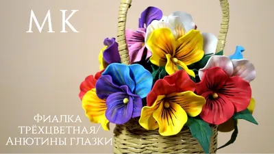 Фиалка Виттрока (анютины глазки) Trumpet red wing F1, 10шт, Нидерланды,  Купить в Минске