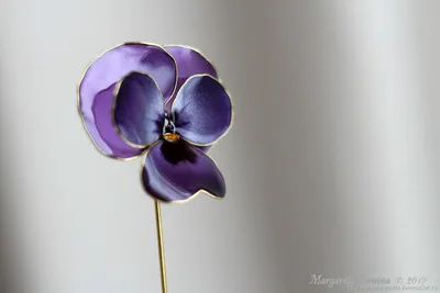 Анютины Глазки Фиалка Viola - Бесплатное фото на Pixabay - Pixabay