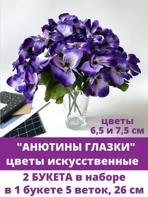 Анютины глазки — красиво, как в сказке! Фиалка трёхцветная и Фиалка  Виттрока. Уход, выращивание, размножение. Виды, сорта. Фото — Ботаничка