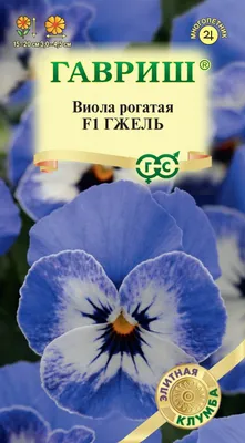 Манящие Анютины глазки (Виолы) — Статьи — Хобби Сад