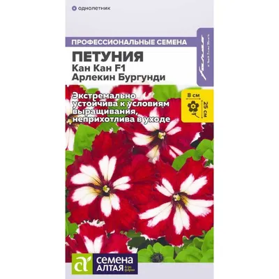 Другие селекционеры - FloraPiter.Ru коллекционные ФИАЛКИ (г.Королев,  г.Москва и Московская обл.)