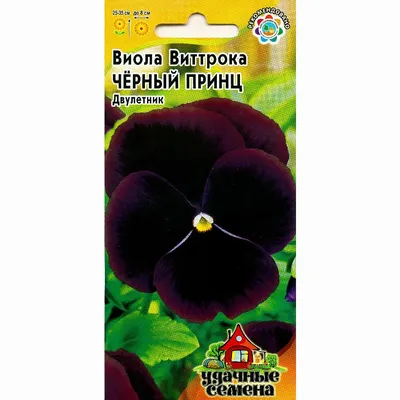 АВ-Черный Принц Селекционер: Фиалковод Год выпуска: 2013 Цветок: Очень  крупные черно-красные махровые звезды. Розетка: Тем… | African violets,  Plants, Black flowers