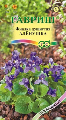 ✓ Семена Фиалка душистая Аленушка, 0,05г, Гавриш, Сад ароматов по цене 0  руб. ◈ Большой выбор ◈ Купить по всей России ✓ Интернет-магазин Гавриш ☎  8-495-902-77-18