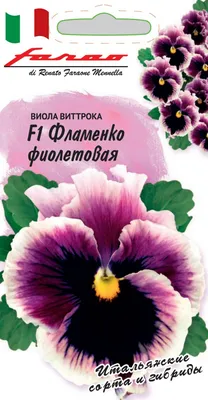 Виола Фламенко смесь виттрока (семена,цветы) купить по цене 127 ₽ в  интернет-магазине KazanExpress