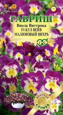 Фиалки - купить в Украине недорого, каталог интернет-магазина в Киеве,  Харькове, Днепропетровске