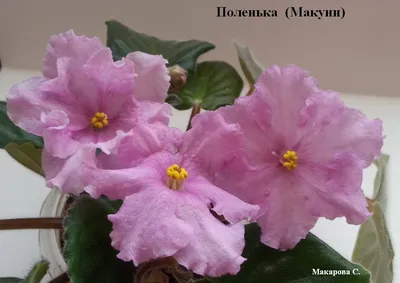 Неактивно