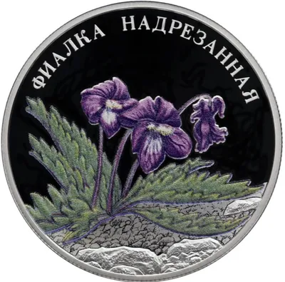 Монета Россия 2022 2 рубля Фиалка надрезанная Красная книга цена 3 800 руб.