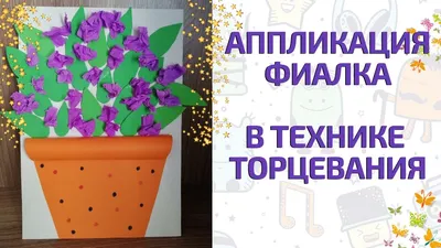 Фиалки, трейлеры: 50 грн. - Комнатные растения Макеевка на Olx