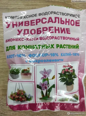 Доставка цветов в город Бежецк | Купить цветы в Бежецке круглосуточно