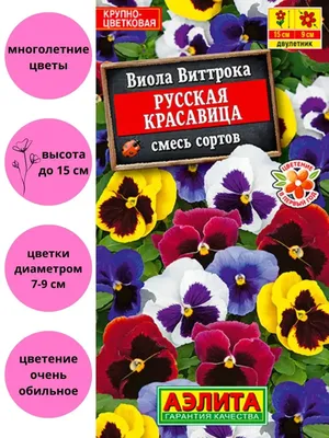 Фиалки крупноцветковые (диаметр цветка 7-9 см) - FloraPiter.Ru  коллекционные ФИАЛКИ из Санкт-Петербурга