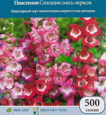 Семена табака душистого Сенсация 0,3г ТМ ВЕЛЕС (ID#618900215), цена: 6.50  ₴, купить на Prom.ua