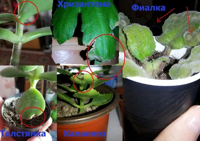 О магазине -