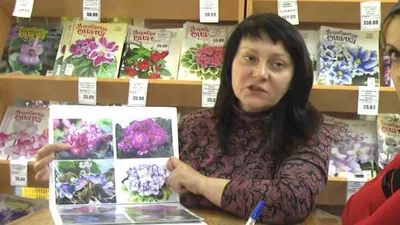 Главная | Стандарты (Отечественные) | Лебецкая | Сайт Светланы Самохиной:  фиалки, стрептокарпусы, эписции