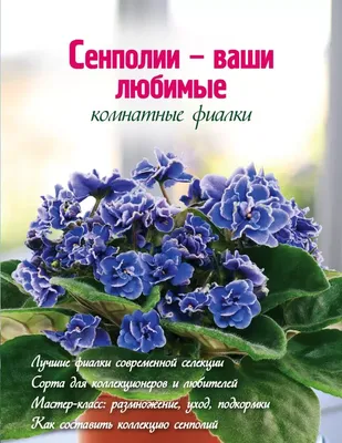 Конспект НОД «Опять фиалка на окне нам подарила свой букет!» Рисование  красками (6 фото). Воспитателям детских садов, школьным учителям и  педагогам - Маам.ру