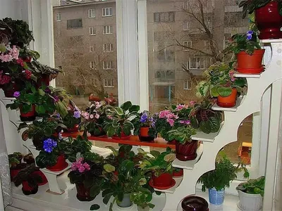 Подставки для фиалок на подоконнике своими руками: фото кованных полочек и  стоек для цветов н… | Идеи посадки растений, Современное садоводство,  Подставки под цветы